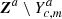 $ {\boldsymbol{Z}}^a \setminus Y^a_{c,m} $