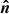 $ \boldsymbol{\hat n} $